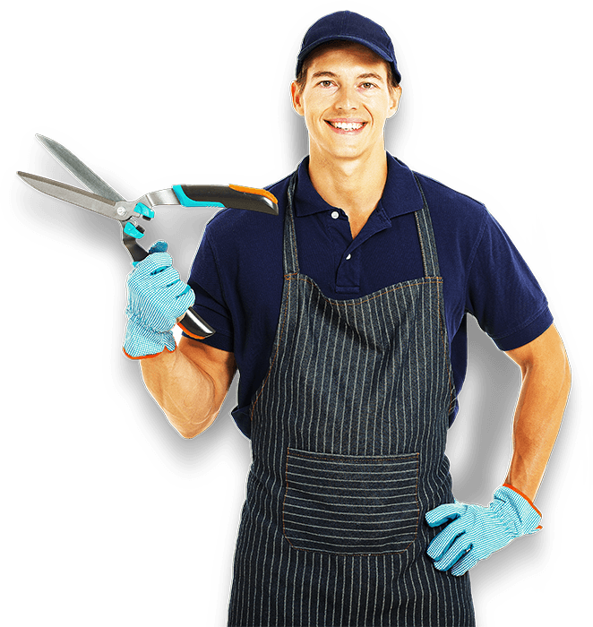 Gardner.png Gardner.png